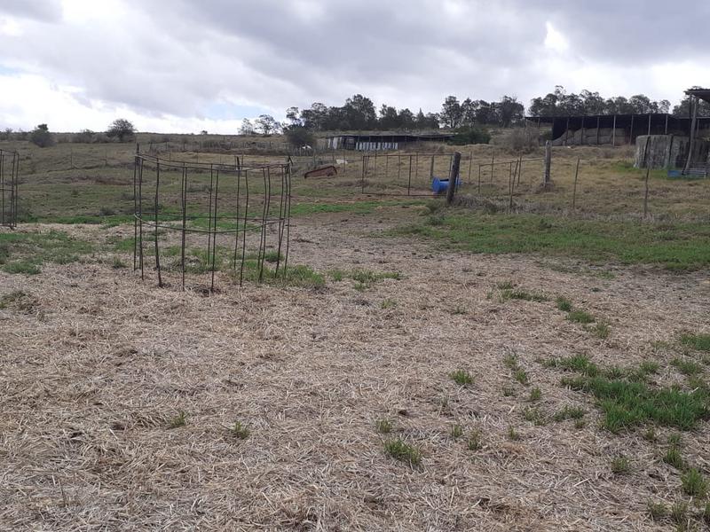 0 Bedroom Property for Sale in Albertinia Western Cape